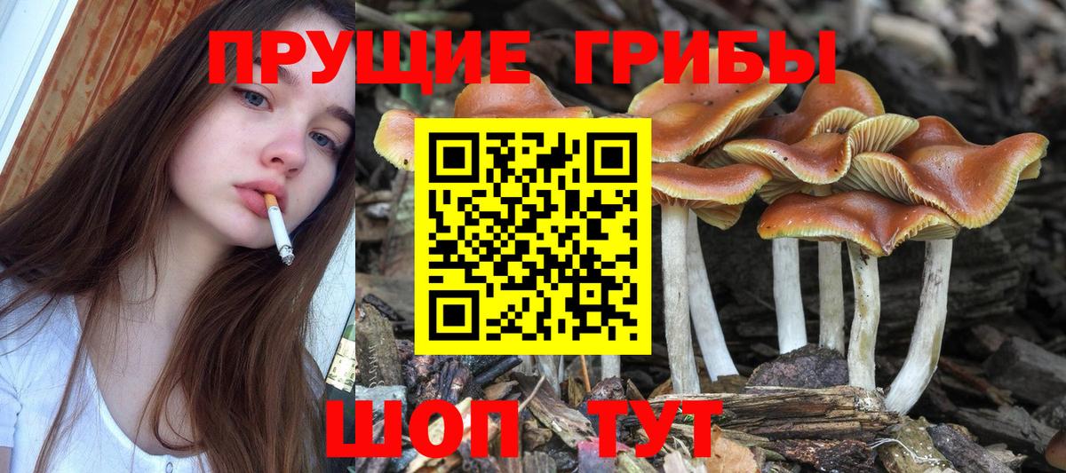 Галлюциногенные грибы Psilocybine cubensis  Вход с VPN  Галлюциногенные грибы GOLDEN TEACHER  Иваново 