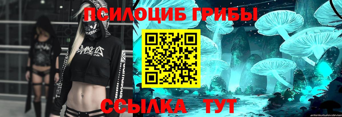 Псилоцибиновые грибы ЛСД Иваново